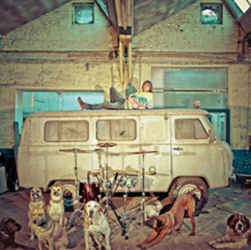 USE | CHIEN D'LA CASSE | VINYL RECORD (LP)