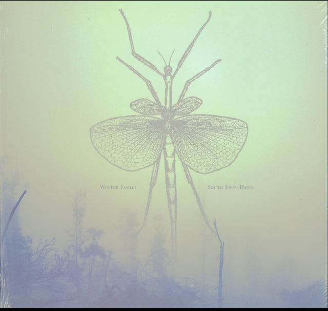 WINTER FAMILY | SOUTH FROM HERE | VINYL RECORD (LP)