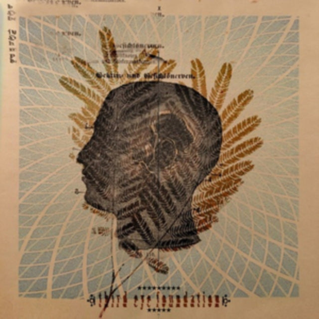 THIRD EYE FOUNDATION | WAKE THE DEAD | VINYL RECORD (LP)