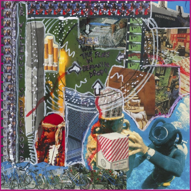 LE VILLEJUIF UNDERGROUND | WHEN WILL THE FLIES IN DEAUVILLE DROP? | VINYL RECORD (LP)