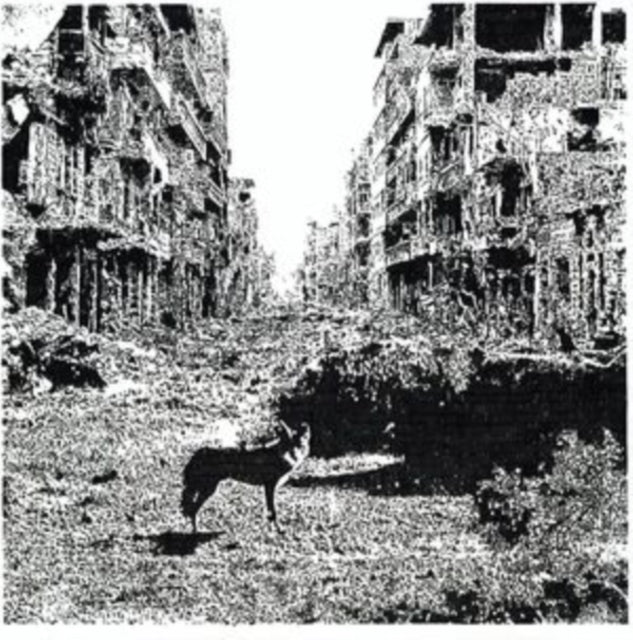 VOX LOW | KEEP ON FALLING | VINYL RECORD (LP)