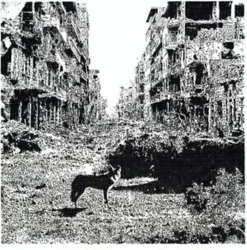 VOX LOW | KEEP ON FALLING | VINYL RECORD (LP)