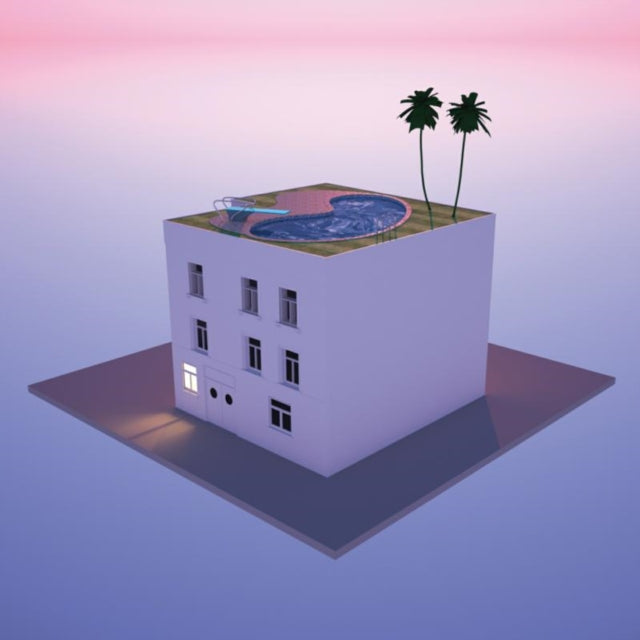FICTION | IN REAL LIFE | 12IN VINYL