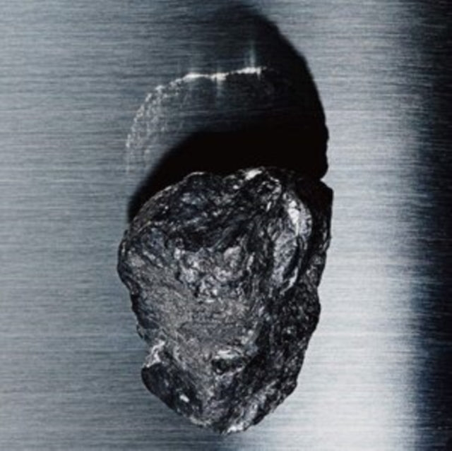 NINGEN, BO | SUDDEN FICTIONS | VINYL RECORD (LP)