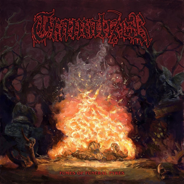 TRAMALIZER | FUMES OF FUNERAL PYRES | VINYL RECORD (LP)