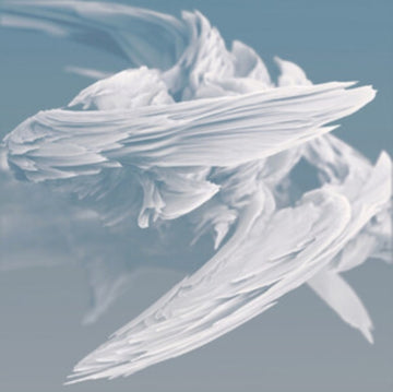 ARCHITEXTURES | VINYL RECORD (LP)