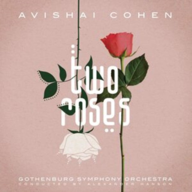 COHEN, AVISHAI | TWO ROSES | VINYL RECORD (LP)