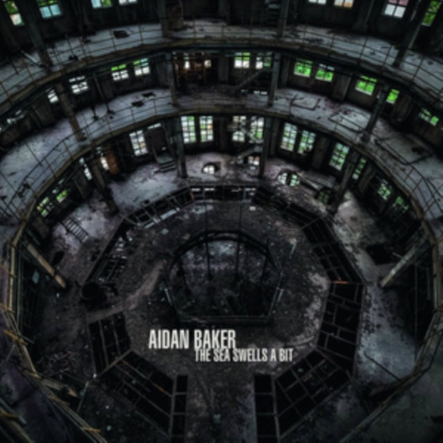 BAKER, AIDAN | SEA SWELLS A BIT | VINYL RECORD (LP)