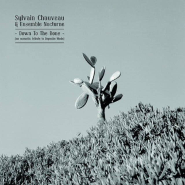 CHAUVEAU, SYLVAIN | DOWN TO THE BONE (AN ACOUSTIC TRIBUTE TO DEPECHE MODE) | VINYL RECORD (LP)
