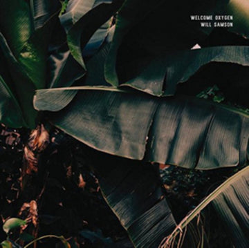 WELCOME OXYGEN | VINYL RECORD (LP)
