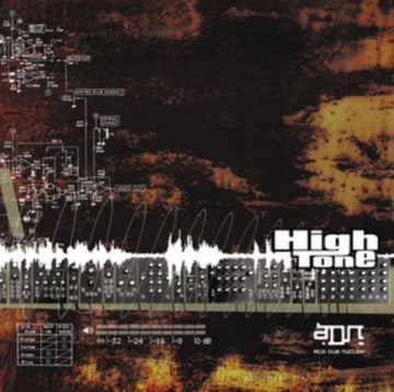 ADN (ACID DUB NUCLEIK) (2LP) | VINYL RECORD (LP)
