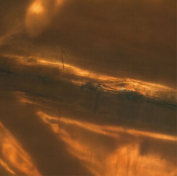 LUSTRA / REVERSE SIDE PRINT | VINYL RECORD (LP)