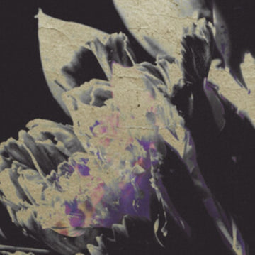 TRAVERSEE 04 - MOVING SILHOUETTES | VINYL RECORD (LP)