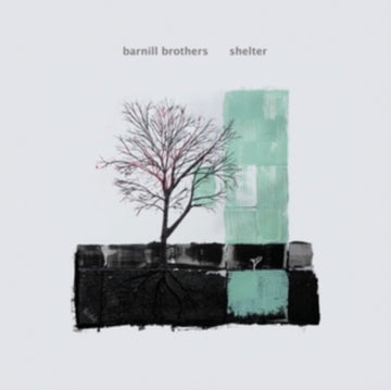 SHELTER | VINYL RECORD (LP)