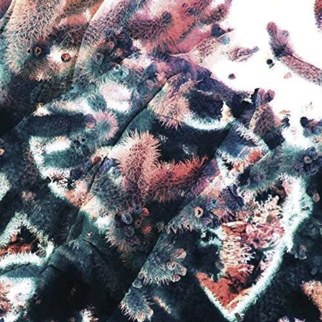 TOBAR, RICARDO | GARDEN | 12IN VINYL