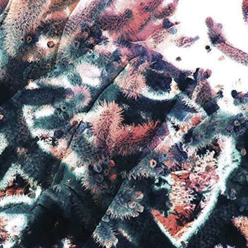 TOBAR, RICARDO | GARDEN | 12IN VINYL