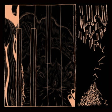 WAITING FOR THE PIANO TO FALL | VINYL RECORD (LP)