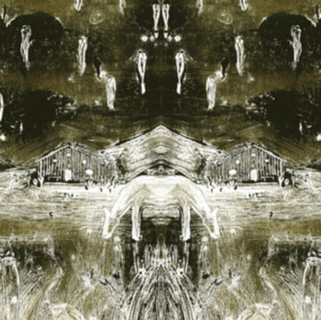 TADPOLES | VINYL RECORD (LP)