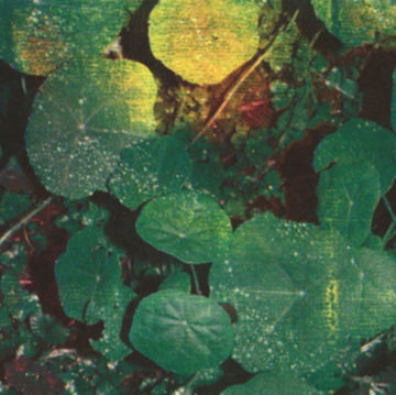 ABOUT HONEY | VINYL RECORD (LP)