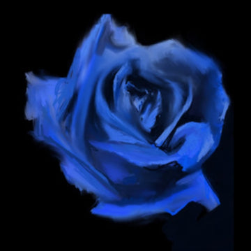 ROSEBUD | VINYL RECORD (LP)