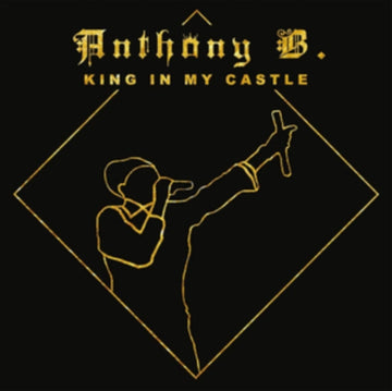 KING IN MY CASTLE (2LP/IMPORT) | VINYL RECORD (LP)