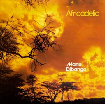 AFRICADELIC (ORANGE VINYL) | VINYL RECORD (LP)
