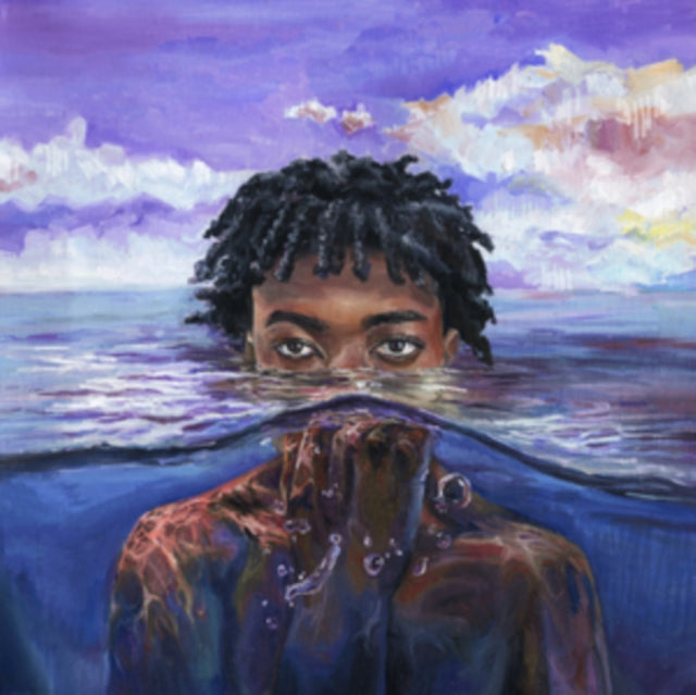 REDVEIL | LEARN 2 SWIM | VINYL RECORD (LP)