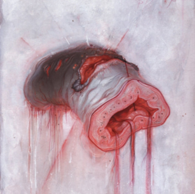 AMERICAN HERITAGE | PROLAPSE | VINYL RECORD (LP)
