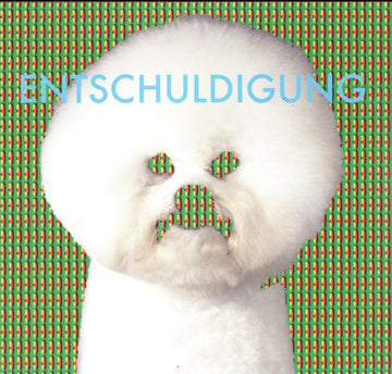 ENTSCHULDIGUNG | 12IN VINYL
