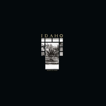 HEARTS OF PALM (IMPORT) | VINYL RECORD (LP)