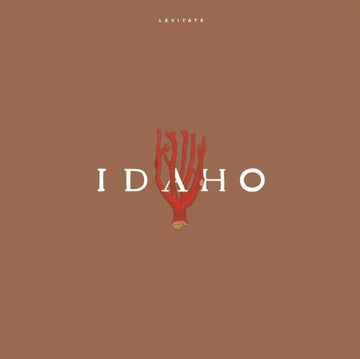 IDAHO | LEVITATE | VINYL RECORD (LP)