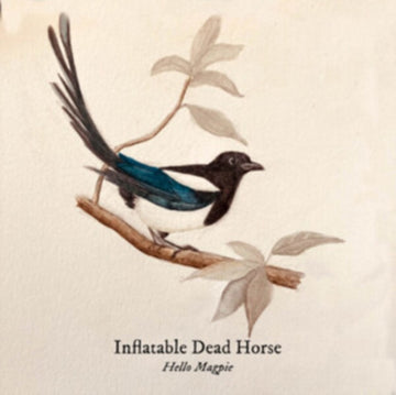 HELLO MAGPIE | VINYL RECORD (LP)