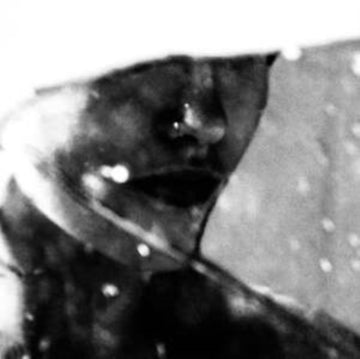 LEAVINGS | 12IN VINYL