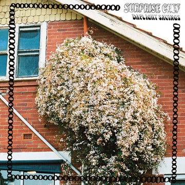 DAYLING SAVINGS | VINYL RECORD (LP)