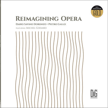 REIMAGINING OPERA | VINYL RECORD (LP)