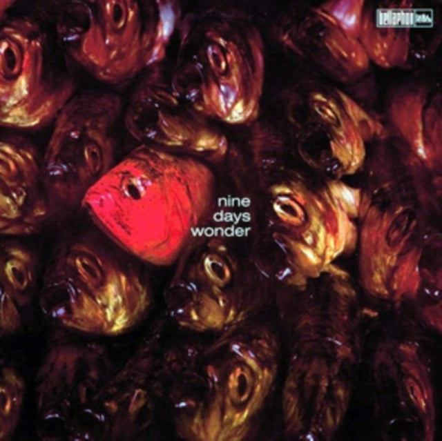 UNKNOWN | NINE DAYS WONDER | VINYL RECORD (LP)