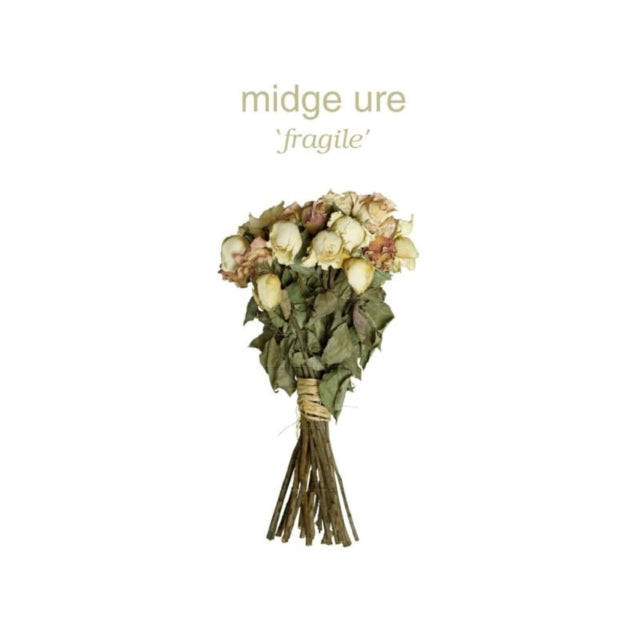 URE, MIDGE | FRAGILE (180G) | VINYL RECORD (LP)