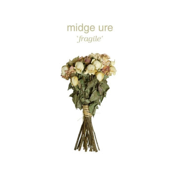 URE, MIDGE | FRAGILE (180G) | VINYL RECORD (LP)