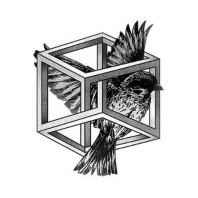 BUFI | REVELACION | VINYL RECORD (LP)
