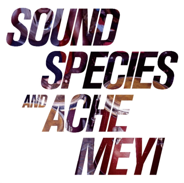 SOUNDSPECIES & ACHE MEYI | SOUNDSPECIES & ACHE MEYI | VINYL RECORD (LP)