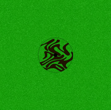 FITH | SWAMP | 12IN VINYL