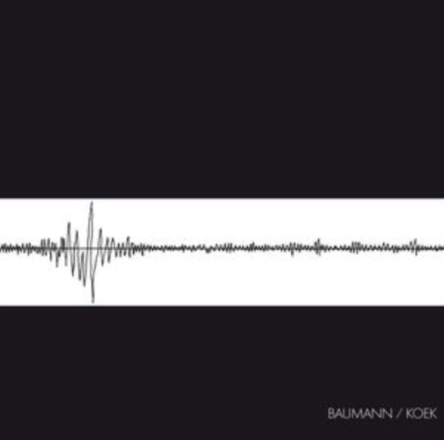 BAUMANN / KOEK | BAUMANN/KOEK | VINYL RECORD (LP)