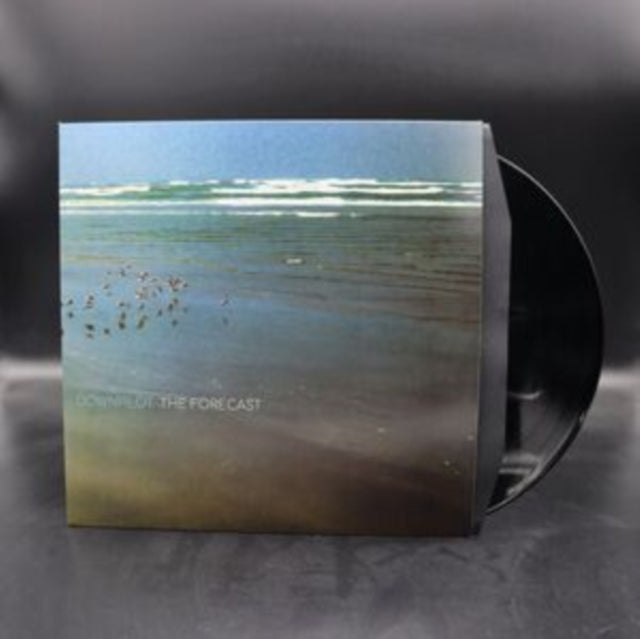 DOWNPILOT | FORECAST | VINYL RECORD (LP)