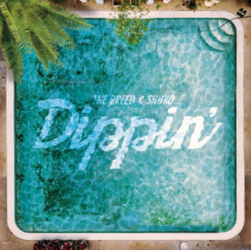 DIPPIN | VINYL RECORD (LP)