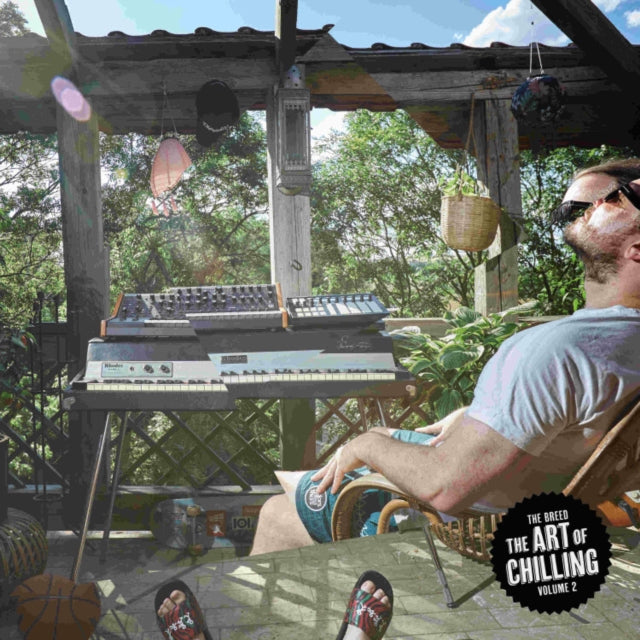 BREED | ART OF CHILLING V.2 | VINYL RECORD (LP)