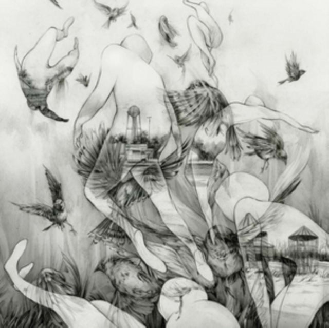 MONO | LAST DAWN | VINYL RECORD (LP)