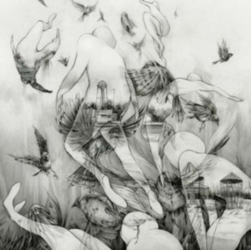 MONO | LAST DAWN | VINYL RECORD (LP)