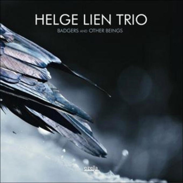 HELGE LIEN TRIO | BADGERS ANDOTHER BEINGS | VINYL RECORD (LP)