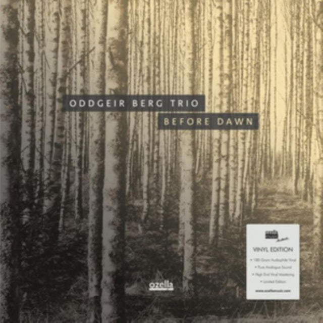 BERG TRIO, ODDGEIER | BEFORE (180G) | VINYL RECORD (LP)