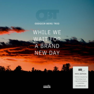 WHILE WE WAIT FOR A BRAND NEW DAY | VINYL RECORD (LP)